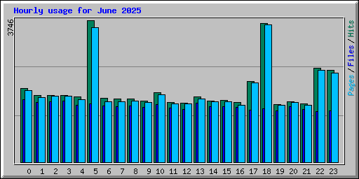 Hourly usage for June 2025