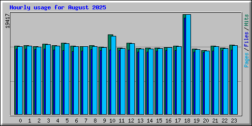 Hourly usage for August 2025
