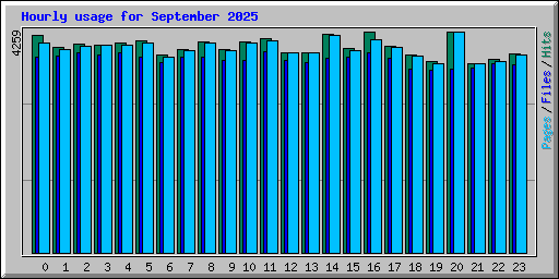 Hourly usage for September 2025