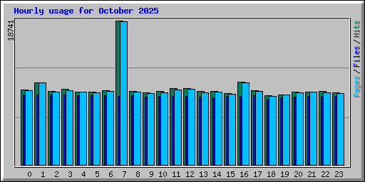 Hourly usage for October 2025