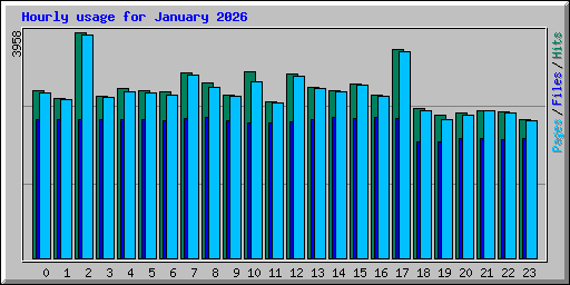 Hourly usage for January 2026