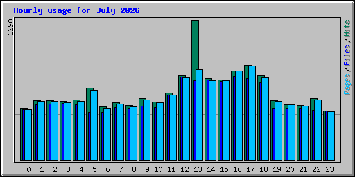 Hourly usage for July 2026