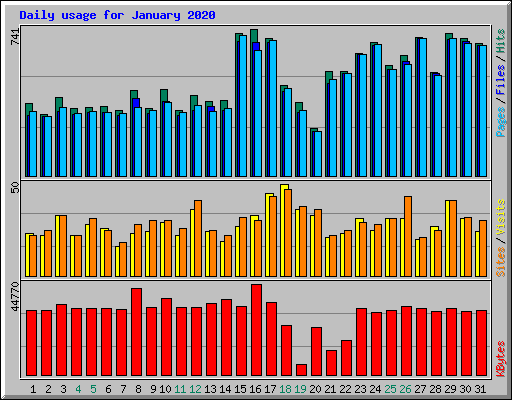 Daily usage for January 2020