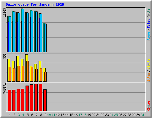 Daily usage for January 2026