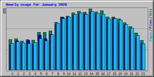 Hourly usage for January 2020
