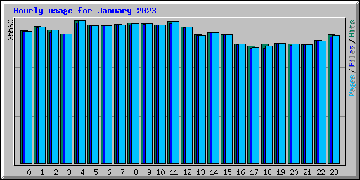 Hourly usage for January 2023