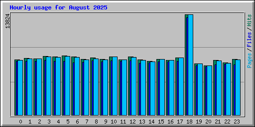 Hourly usage for August 2025
