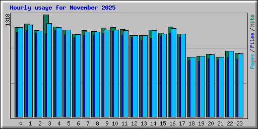 Hourly usage for November 2025