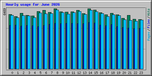 Hourly usage for June 2026